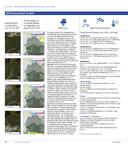Seite 