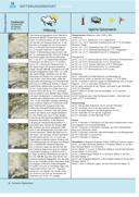 Seite 