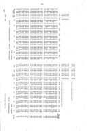 Seite 