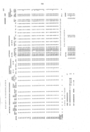 Seite 