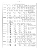 Seite 
