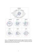 Seite 